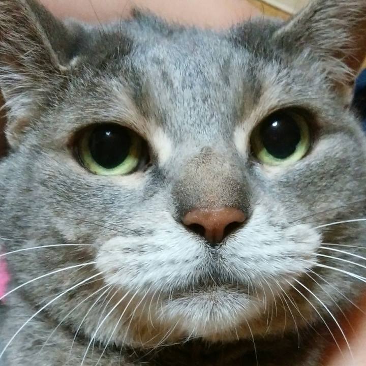 Ec93178e ab6a 4c4a 988c a7b221e645c4 1562419429122