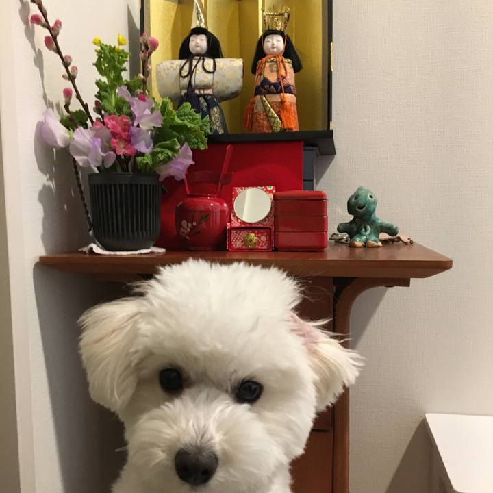 Ec932861 7093 41c7 a48f df318d73f1a6 1520037288420