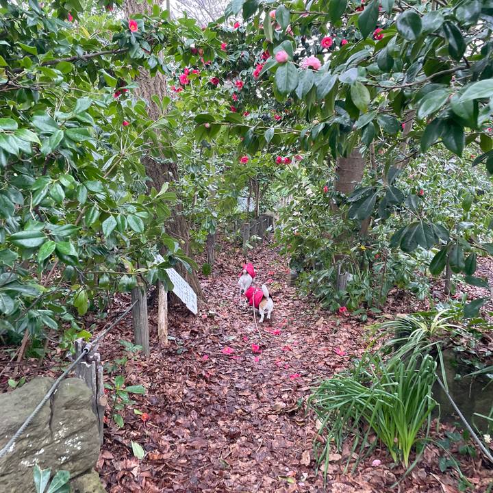 Ec9355ea 486d 4462 8a13 2ab1ae1dc825 1679788869292