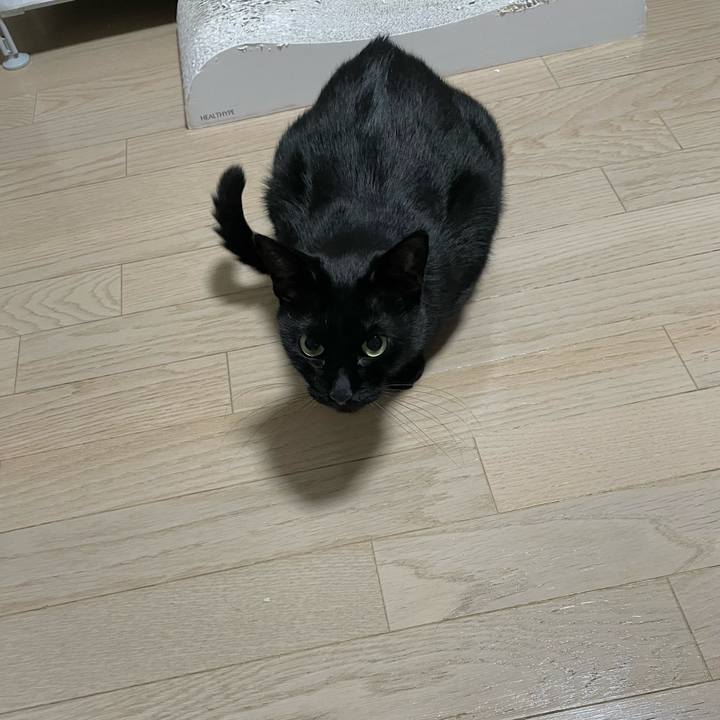 Ec936076 1362 44f8 8d35 160ecf3f2cde 1697633447807