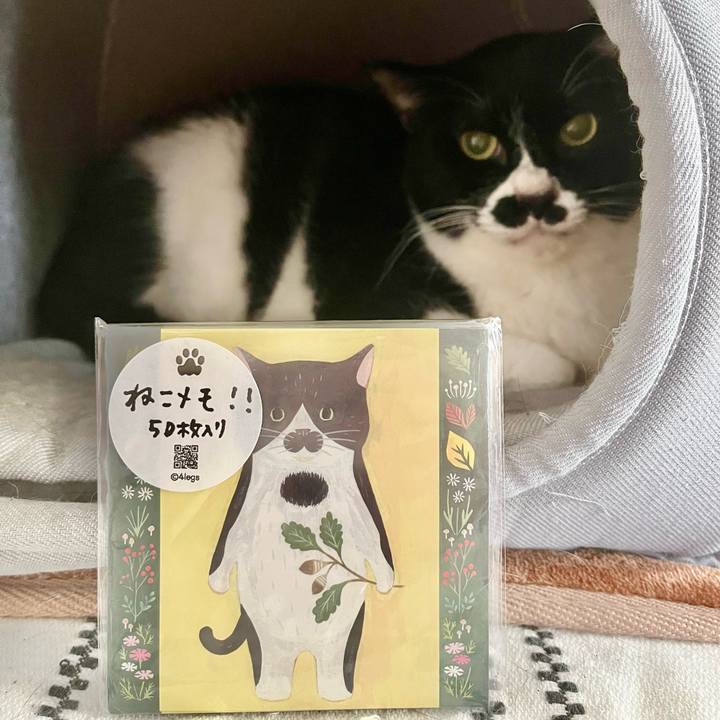 Ec937335 2e9a 4765 ae85 bf4d1b83c852 1709942686289