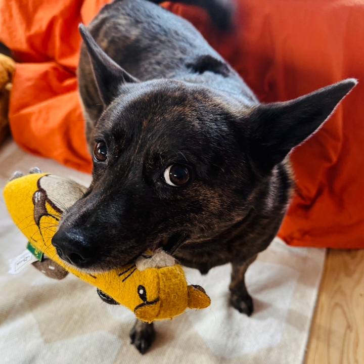 Ec93d9fb 50ab 4ff5 a8cd 2e180d0cf405 1767837051641