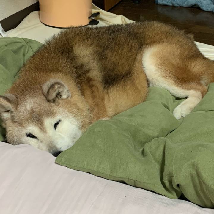 Ec9426e2 55d9 40bb bd24 ce04ba18b07d 1697709078921