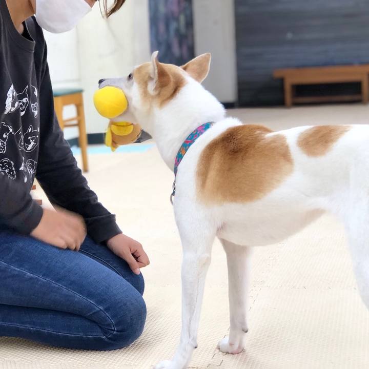 Ec942ea1 a40f 47ea a0e7 c79d4956a43b 1591919780799