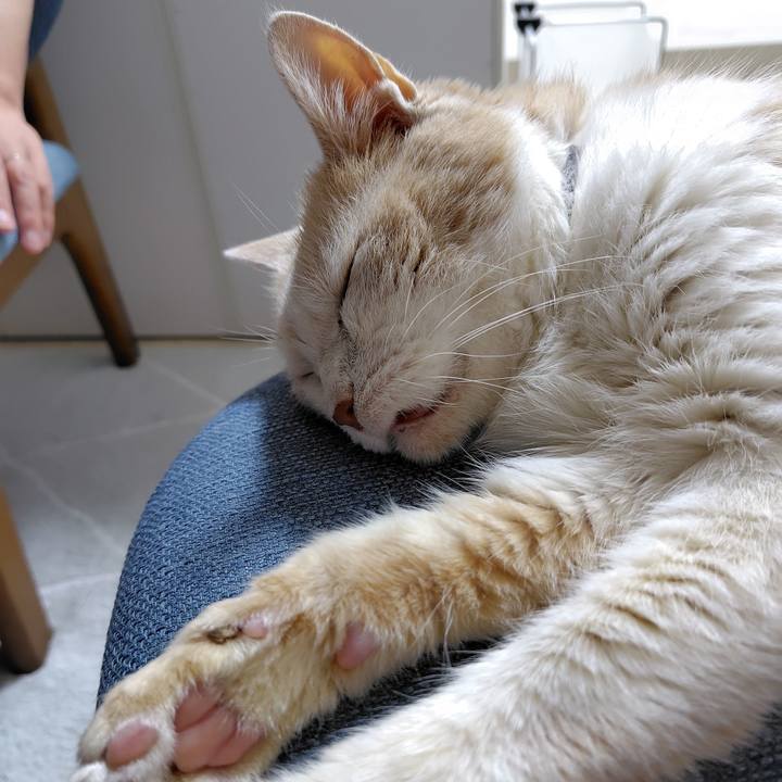 Ec942f67 df4d 4e9b b20f 9d2eb7d4b242 1723986955508