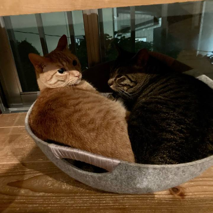 Ec943da5 28a4 4575 9d5c 8714b77bb858 1686831191605