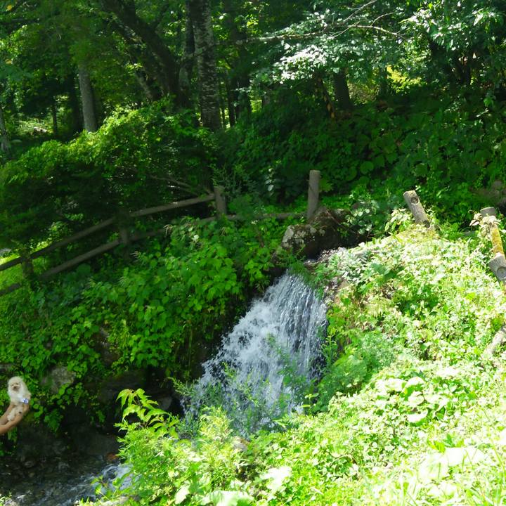 Ec9468a7 c4cc 408d 8eaf 9015b1479f0b 1534506605213