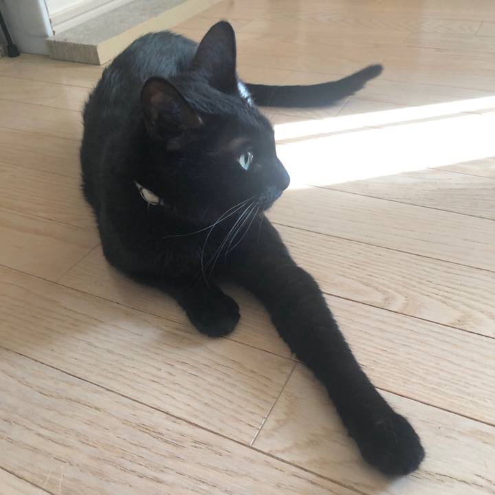 Ec949dbb 21d0 4e43 85b4 d98eb4cfb8c6 1596803509762