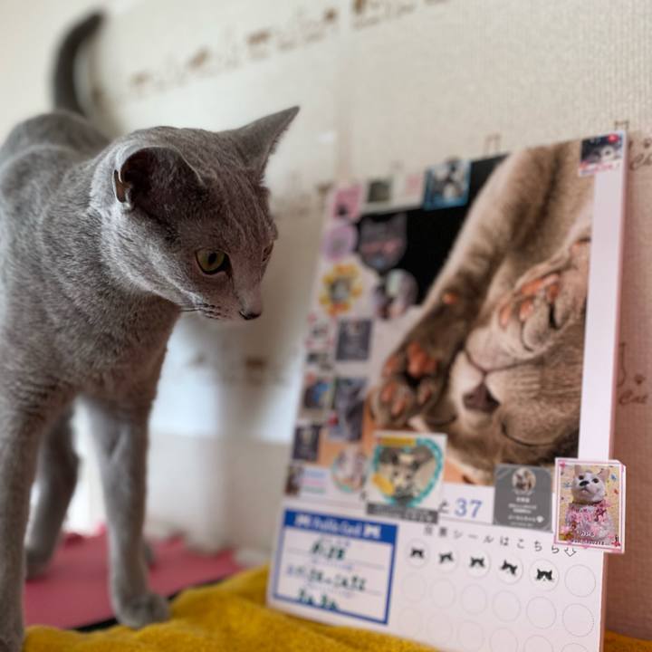 Ec94a244 28bb 4eba ba21 03dcb891c44f 1630217141287