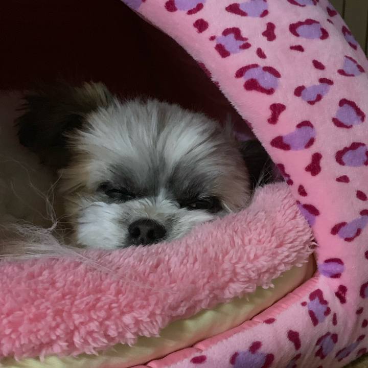 Ec94fbd5 cfdf 4d8d 86c9 95785f801bc2 1555935649639