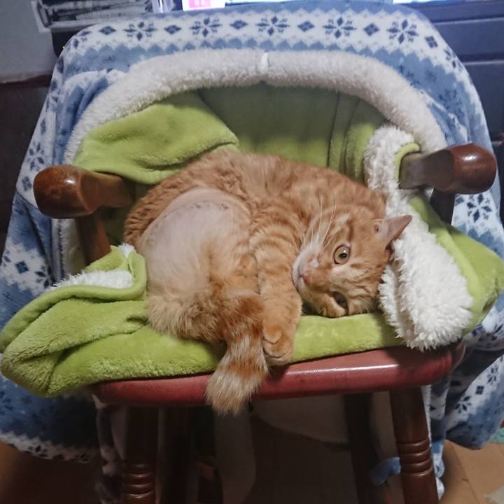 Ec951571 0dd8 4a1d ae14 b0f4327f3cbf 1654558327648