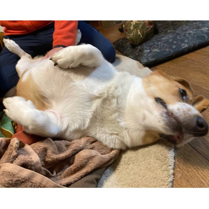 Ec956151 797c 4a96 9c11 342980125941 1639387328051