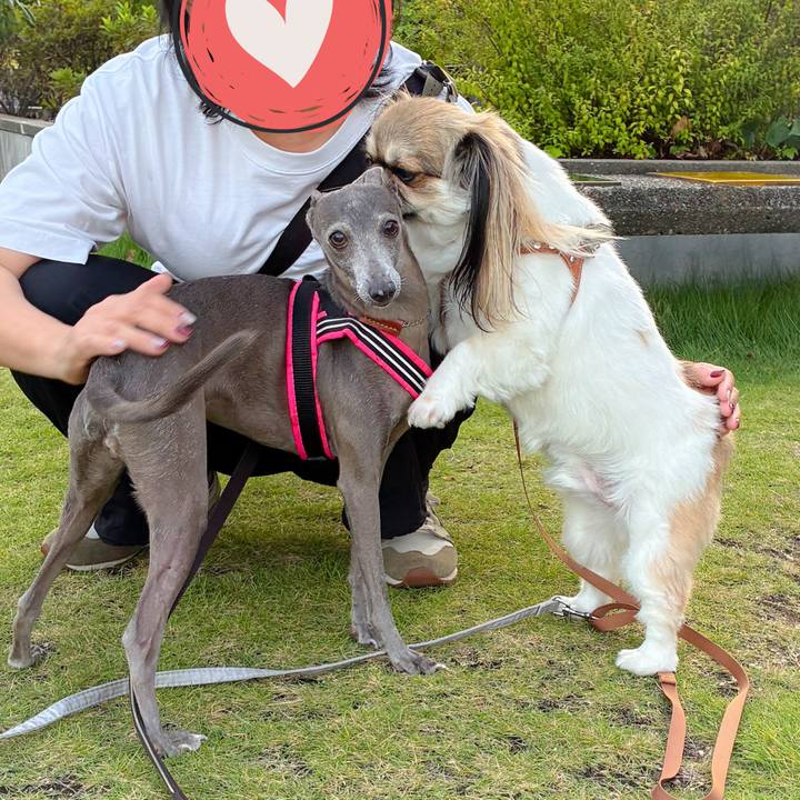 Ec95683d 8e85 454c 8d62 4584475c64e5 1760443001438