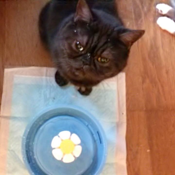 Ec956ea7 f1ec 49df 8b04 5b5cd4ee792e 1538178352977