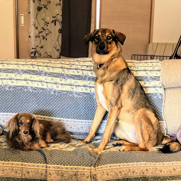 Ec95a9de e92a 4a7f af17 f70e5e1ad35f 1701837503578