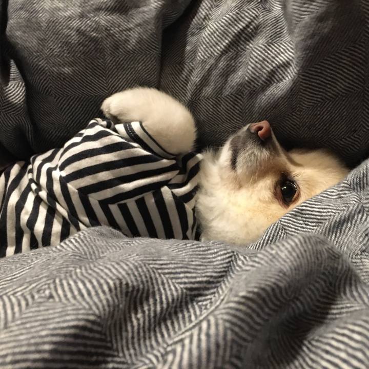 Ec95b3ca d0b6 4a7f b8ce 80e2b583629a 1607333898187