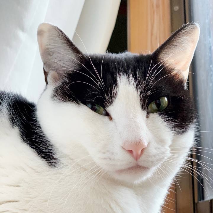 Ec95c6c1 4773 4028 b8d8 1ff3cbebaa5f 1550282656731