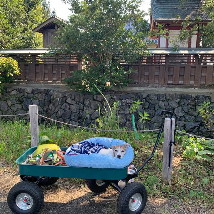 Ec960c67 c8c7 4181 b4c3 715f28f41c01 1632540623788