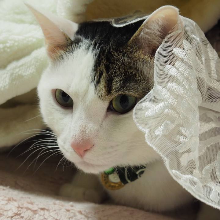 Ec96194c 63b7 4b24 a54a e334a759f08b 1550411255310