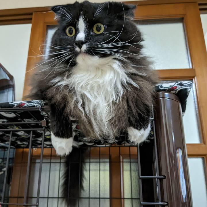 Ec968425 3654 45b8 8d2d 93fb341ef460 1670501230650