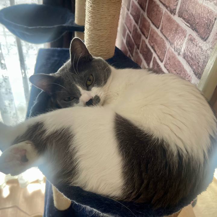 Ec969657 4580 443f bc5d b8a5bc252659 1648172251615