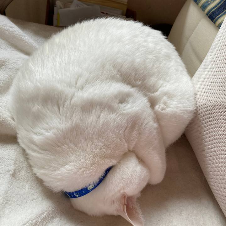 Ec96b39b caa2 430d 880d b5aa89d55b38 1679107140415