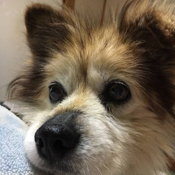 Ec96b8ed e8ed 4ed9 a7e4 3cbff7703f8c 1549854321756