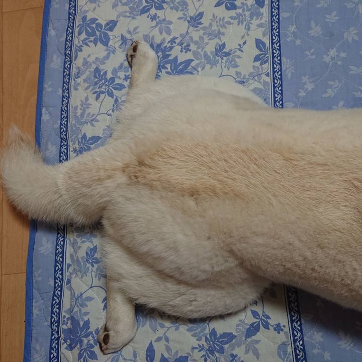 Ec96e823 b8c3 4fe2 9732 00d47e591acb 1580909247713