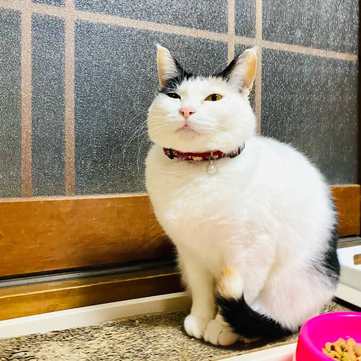 Ec96ea0c cb17 4a5e ba89 9e646259086c 1677272184112