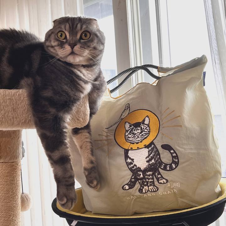 Ec971be2 f798 414a b858 aad02e048907 1667456627986