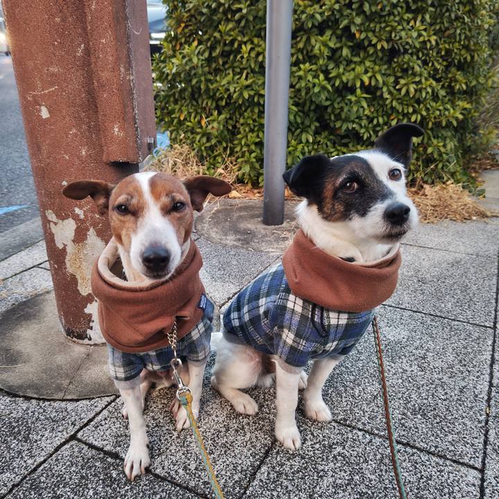 Ec972550 f6c8 4772 a310 e8decf709190 1738015213739