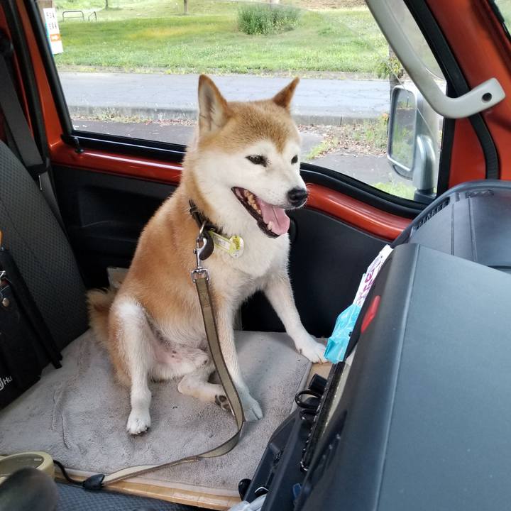 Ec976067 1ac1 46bf 9e66 e9a1fdc7aef8 1660465463358