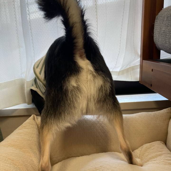 Ec976411 e7c6 4d92 90b5 98a85d618184 1619237937748