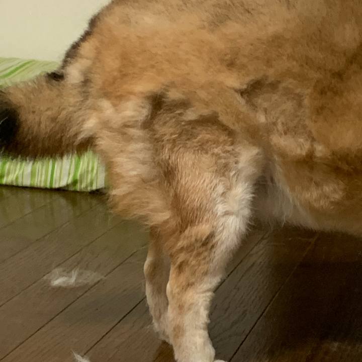 Ec977888 7ab3 4d0d a9c6 ef112ecd1862 1633265421541