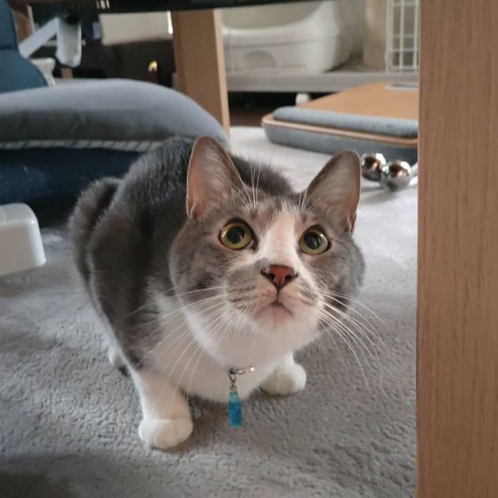 Ec9782fa a453 4b80 91e1 e1d27140e231 1660600522166