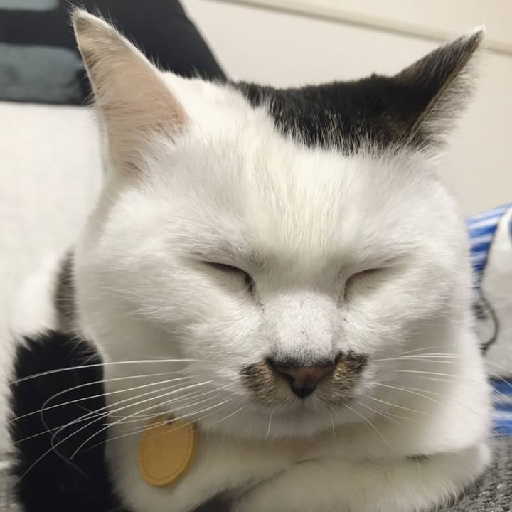 Ec9786ca 66c2 4465 9d6f b8772d47c4b8 1553136009405