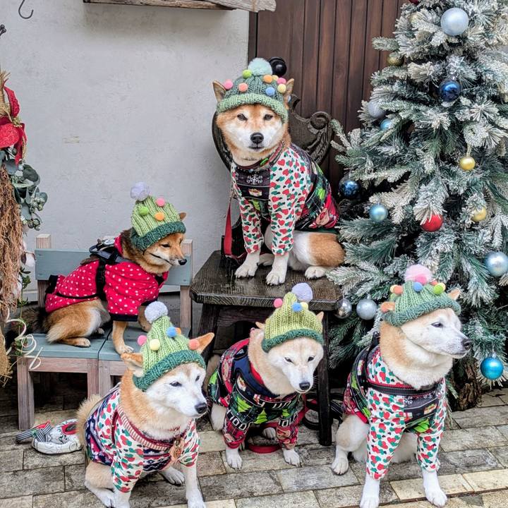 Ec982783 1e6e 47c4 b266 8c3edb84c8b6 1766117680706