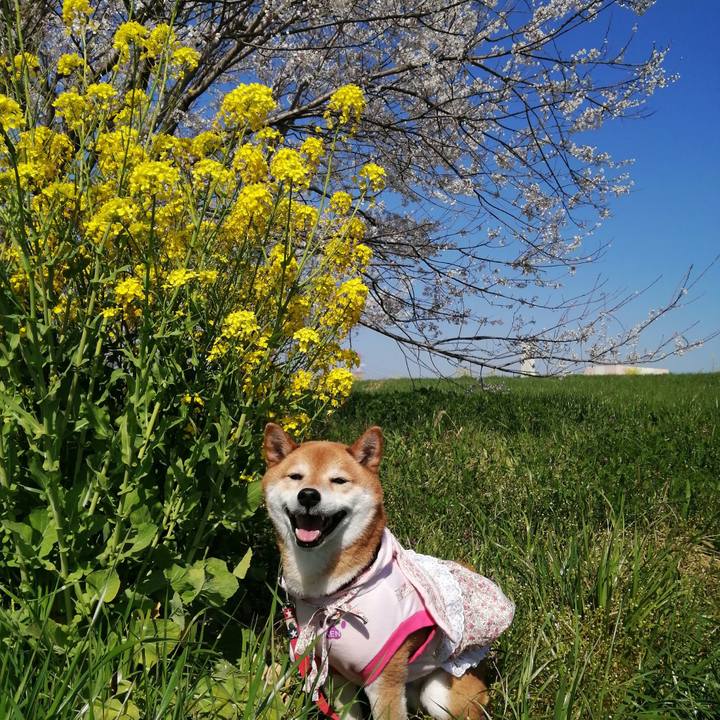 Ec9840cb 9565 427d 9c27 a1a0b7aa1d4a 1679489886413