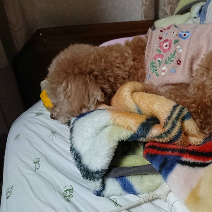 Ec98601f 8a09 4220 9bb9 3393e00a4278 1615031137821