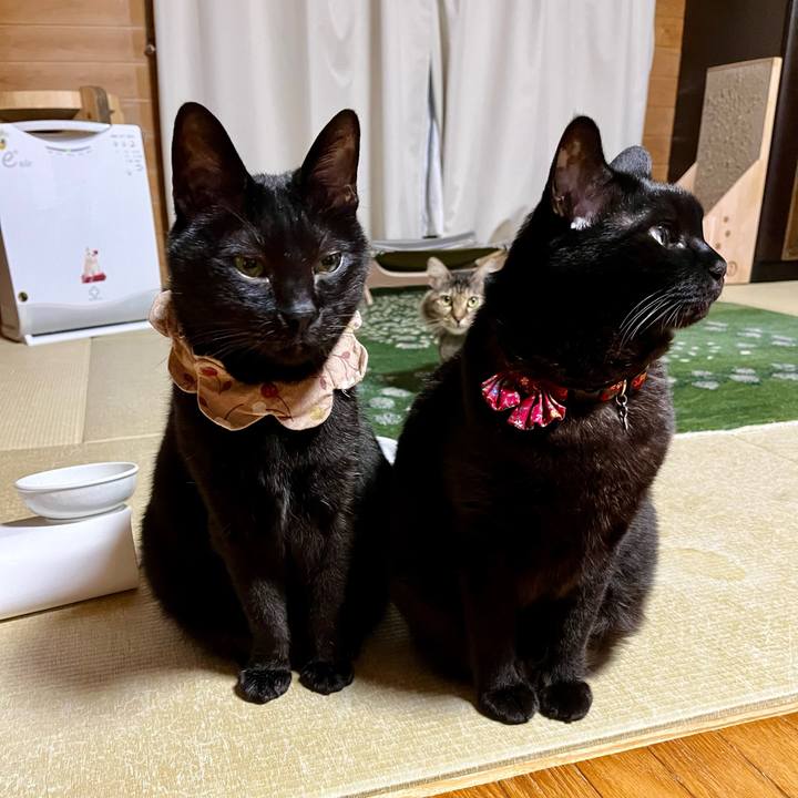 Ec98ac70 fb4a 4163 a2ef 8a25a6eba064 1710149578079