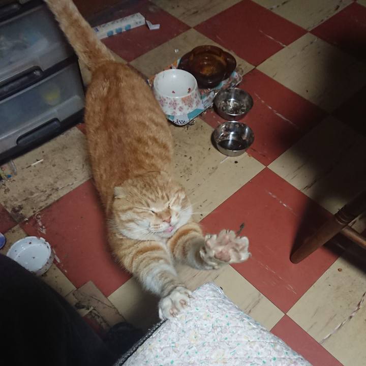 Ec98b83e e911 420a 86c5 bb21d3a21669 1582316781473