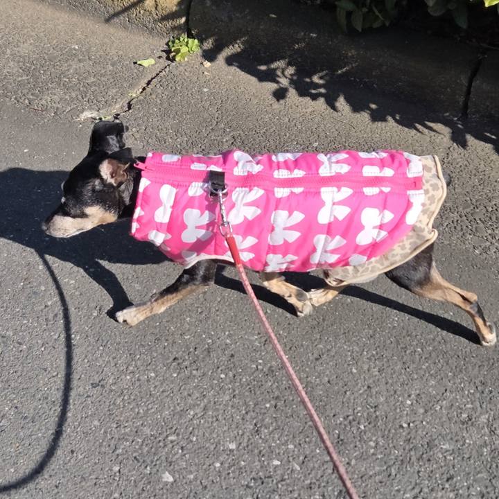 Ec98cf79 4c89 4a7b 8126 79bfcd2db069 1770339729516