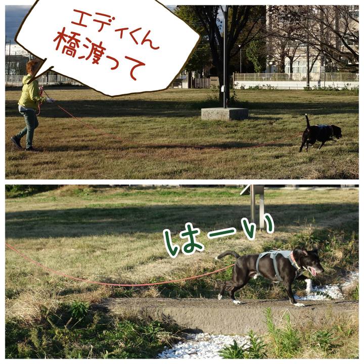 Ec98d2af 779a 44d2 915c 4fbc9f043fc9 1732322750208