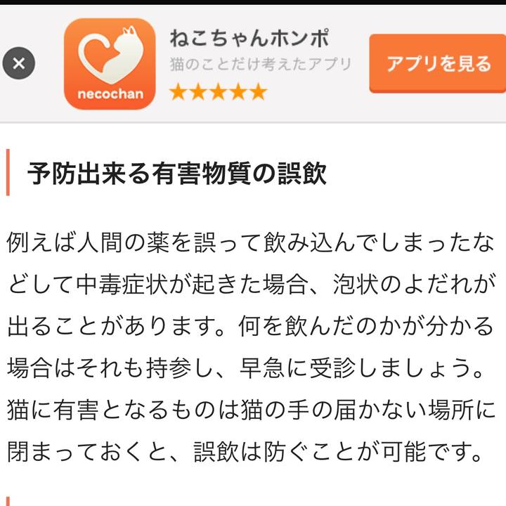 Ec98e3f2 bb7f 4d5c a49a fa41c254401f 1531892243631