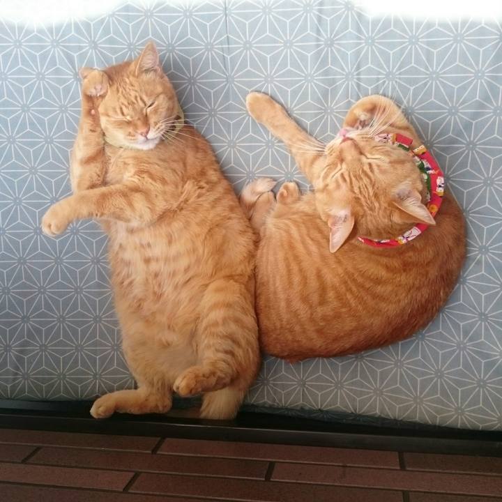 Ec98f33f 47c9 4d82 8cb6 64e8cc8ce1fb 1523025985016