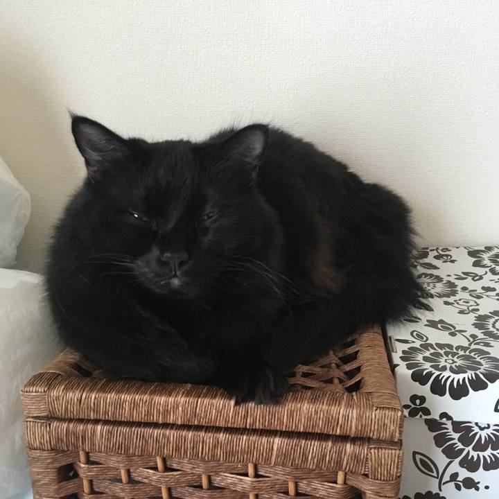 Ec98fdfd acef 45d8 b6b4 d6ee6c520f48 1539128999590