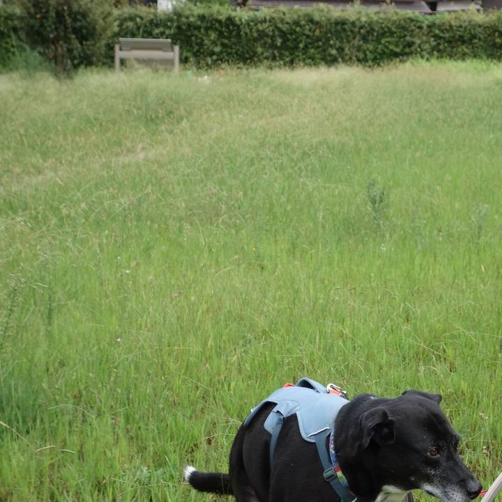 Ec992a2f 18cd 45e2 a8f1 1d861d6e9c21 1727137310099