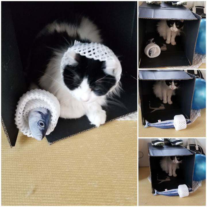 Ec995dec 1587 40de 9d78 04deb8a27cb1 1564361844000