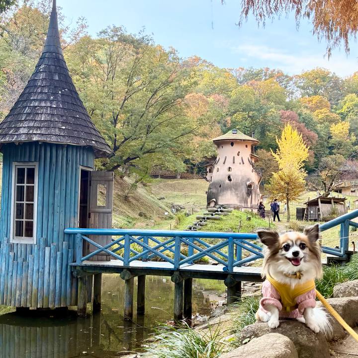 Ec99693c 3260 45f1 9a31 0e0181bf3402 1763380788473