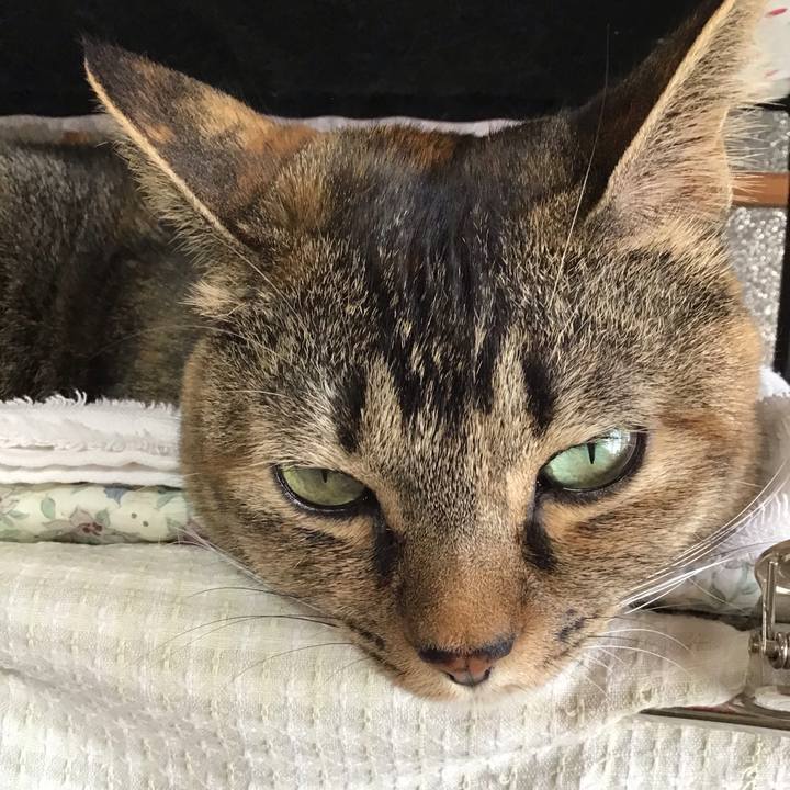 Ec9971fb adfe 449f b451 9250c2759e00 1635414541051